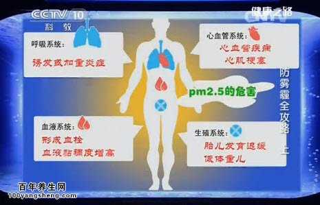 PM2.5Σ