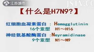 ʲôH7N9