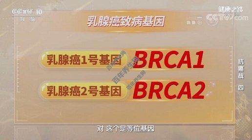 ٰ²򡪡BRCA1BRCA2