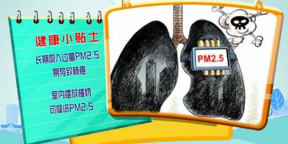 PM2.5